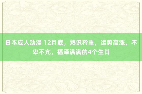 日本成人动漫 12月底，熟识矜重，运势高涨，不卑不亢，福泽满满的4个生肖