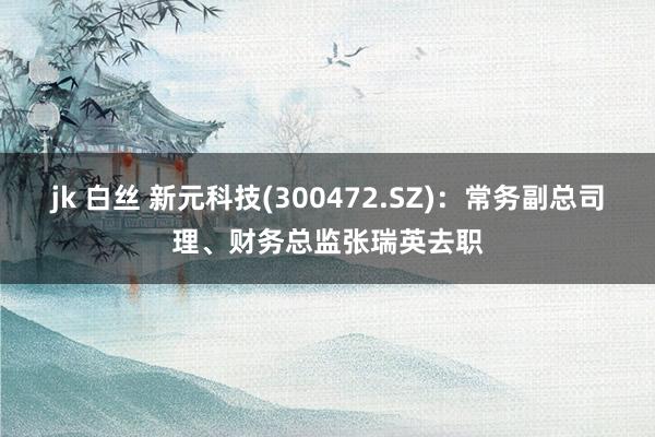 jk 白丝 新元科技(300472.SZ)：常务副总司理、财务总监张瑞英去职