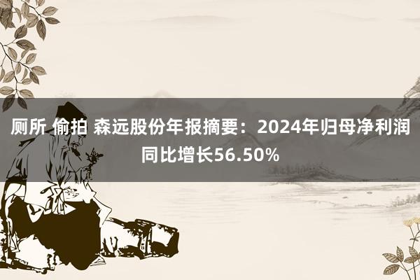 厕所 偷拍 森远股份年报摘要：2024年归母净利润同比增长56.50%
