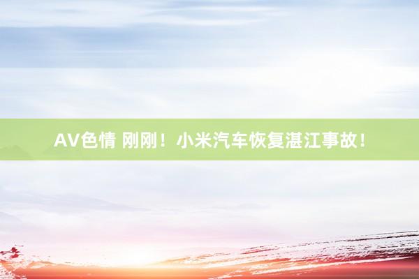 AV色情 刚刚！小米汽车恢复湛江事故！